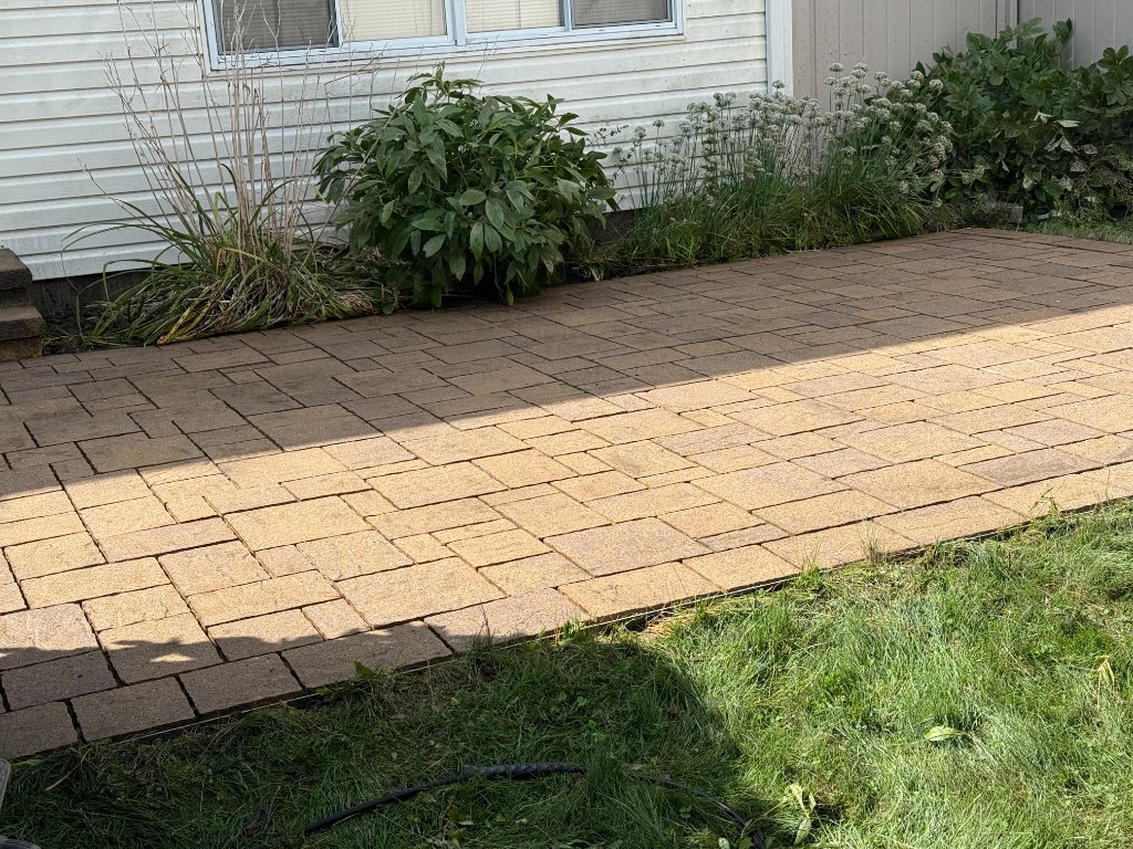 Pressure washing work 1