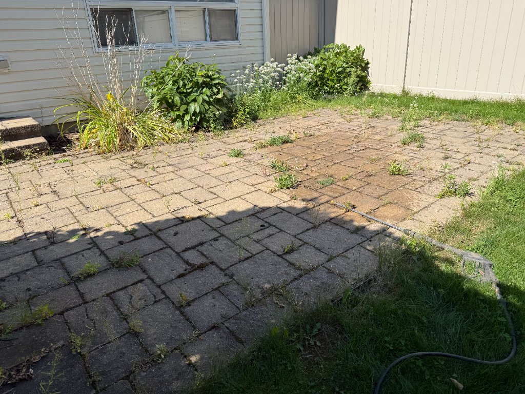 Pressure washing work 2